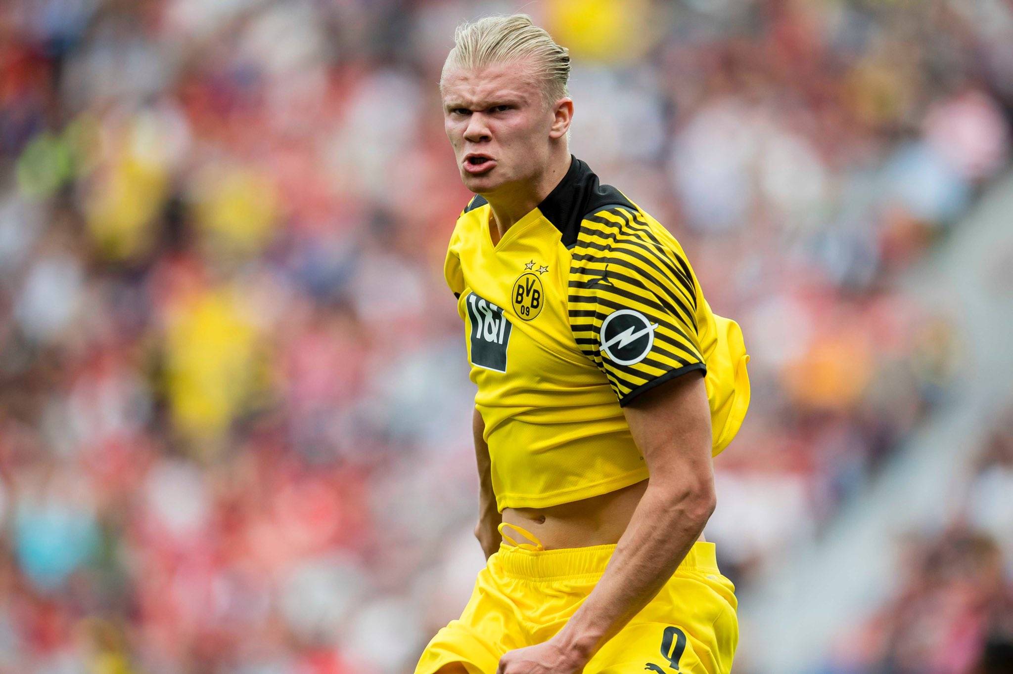 包抄终结 包抄终结